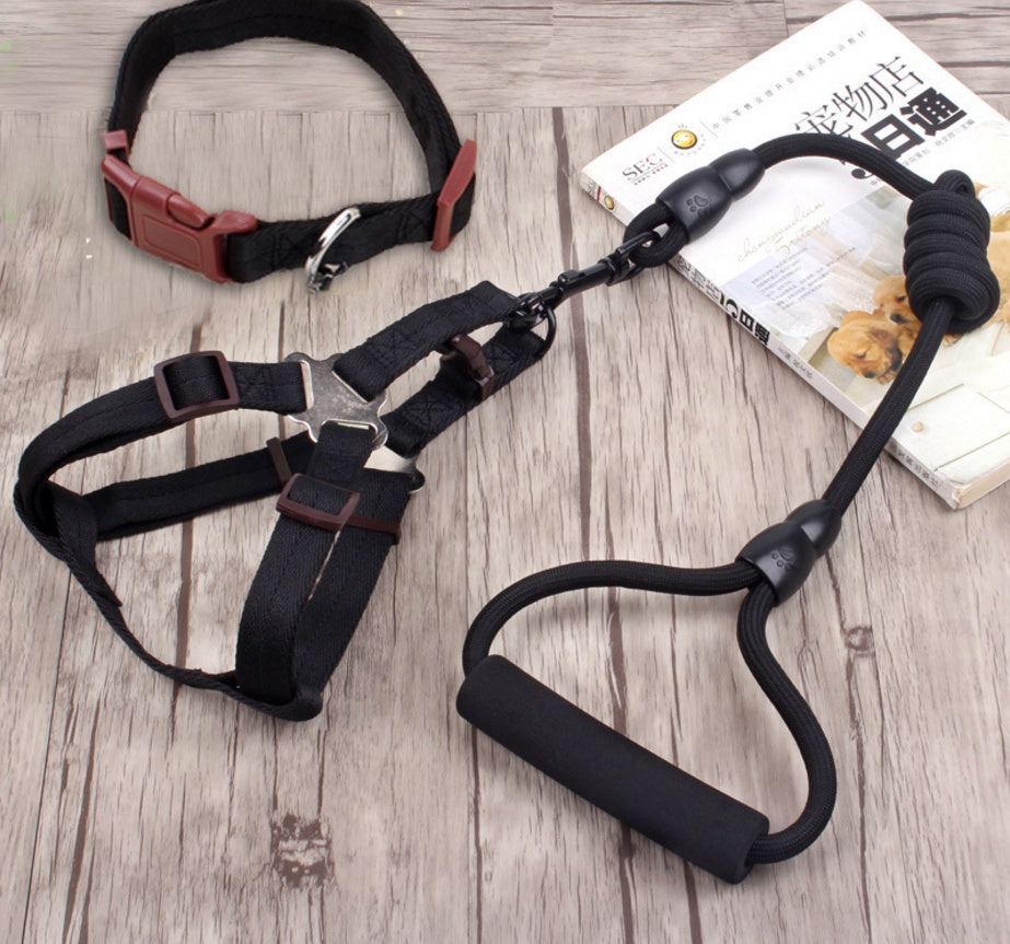 pet harness rope