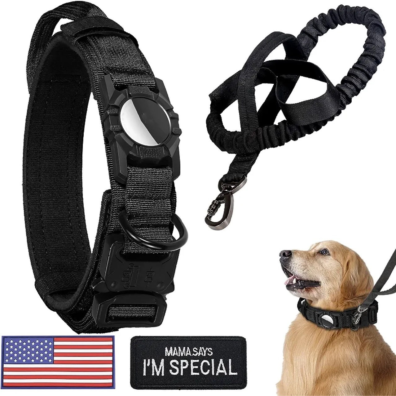 Dog Collar