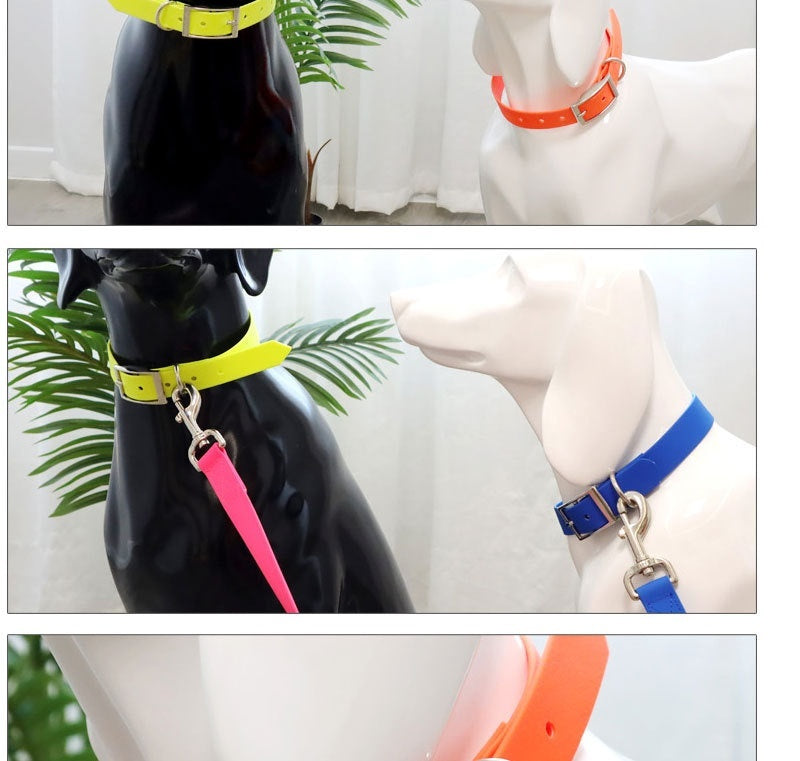 Collar Pet Supplies