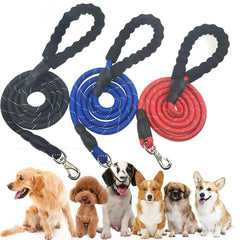 Dogs Leash for Running