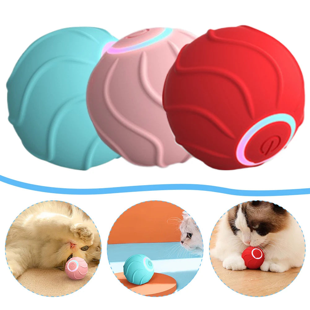 Smart Cat Toys