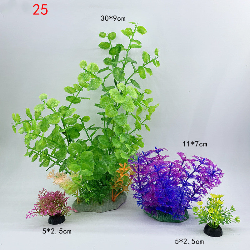 Plants for the aquarium