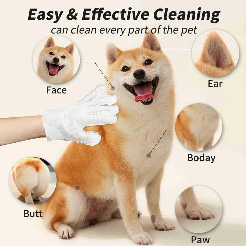 Cleaning Gloves Pet Products