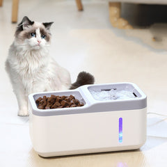 Pet water fountain