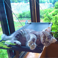 Cat Hammock