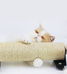 Cat Scratching Post