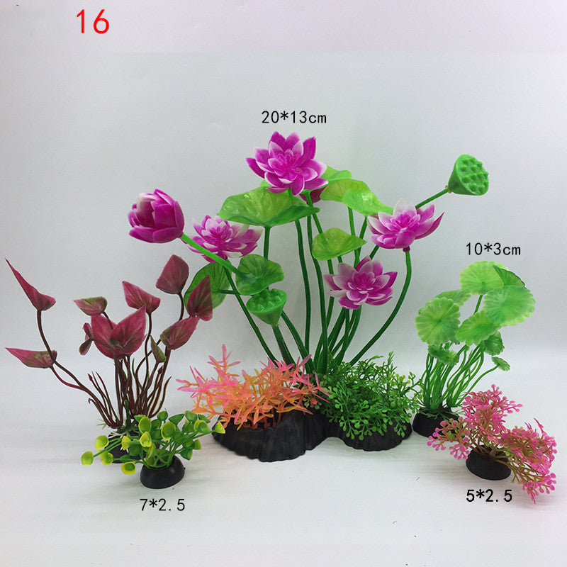 Plants for the aquarium