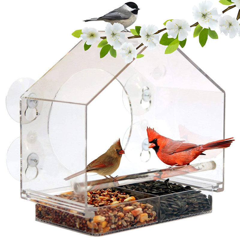 Bird Feeder