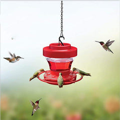 Bird food and water dispenser