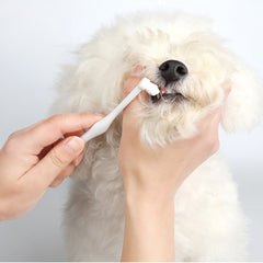 Oral Hygiene Kit For Cats And Dogs