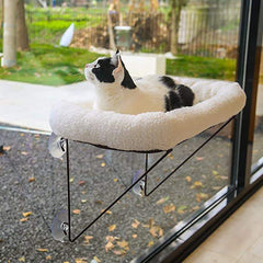 Cat Hammock