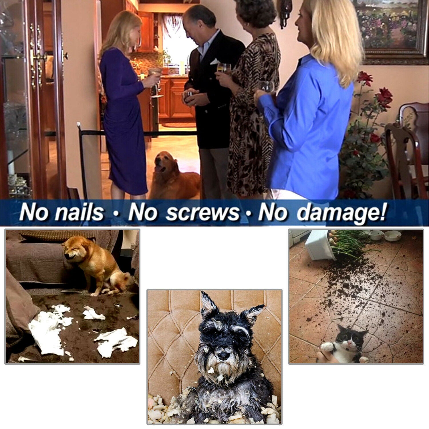 Pets Dog Cat Baby Safety
