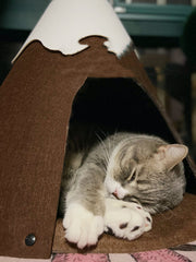 Cat Tent