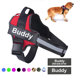 High-quality chest strap for a dog