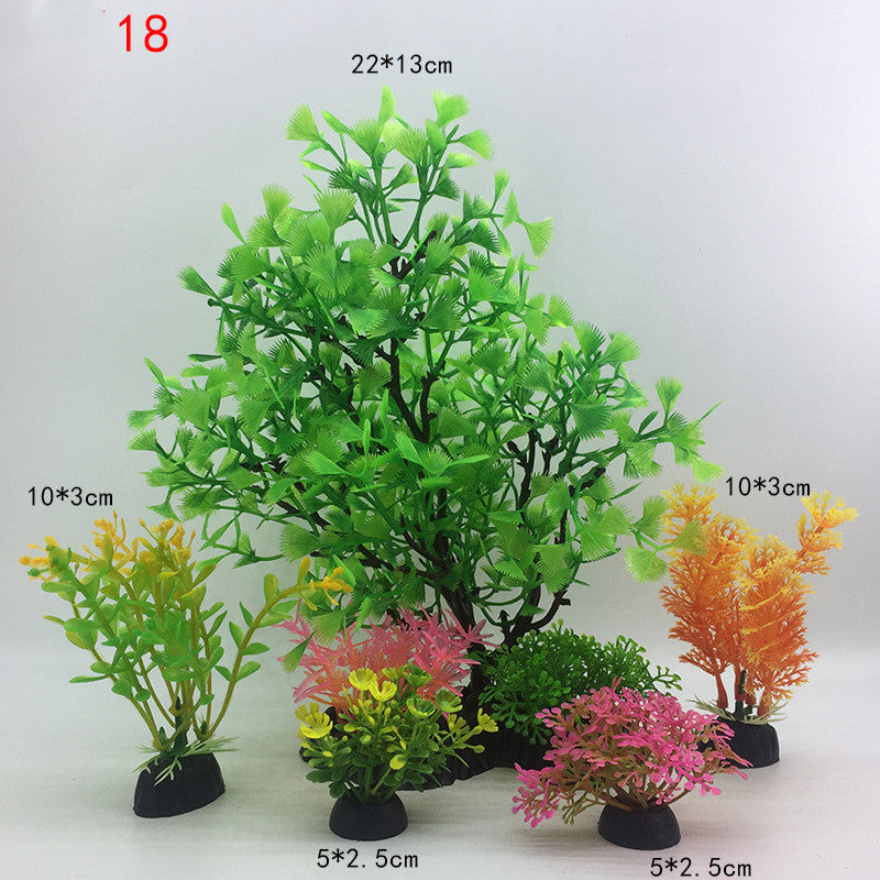 Plants for the aquarium