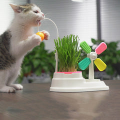 Grass Box cat Toys