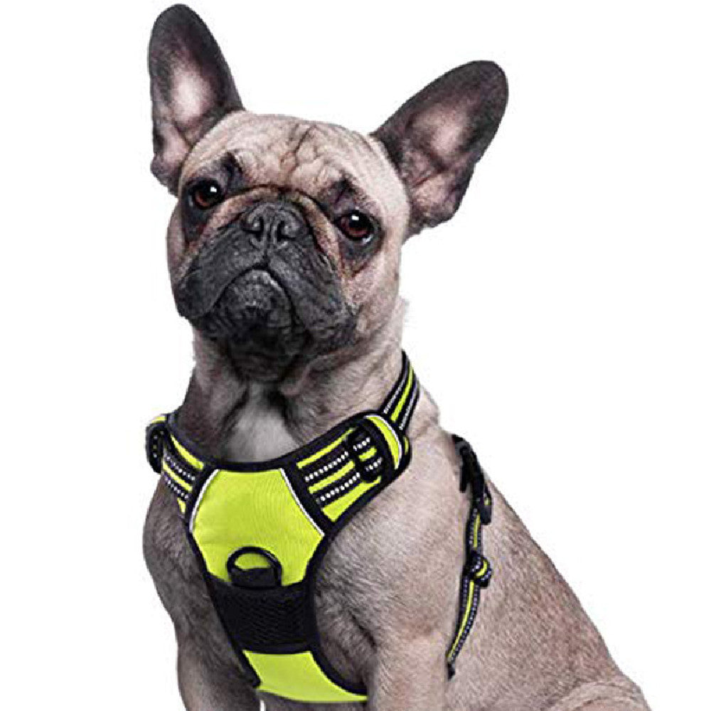 Pet Traction Rope Chest Strap