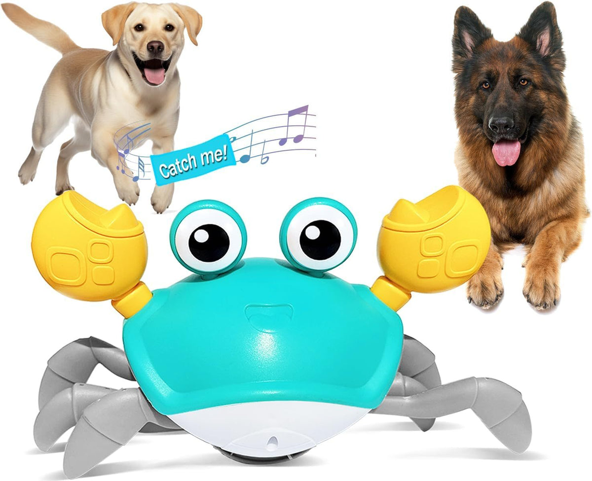 Games and toys for pets