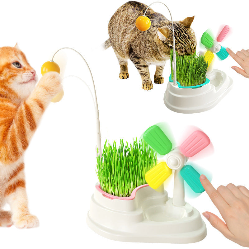 Grass Box cat Toys