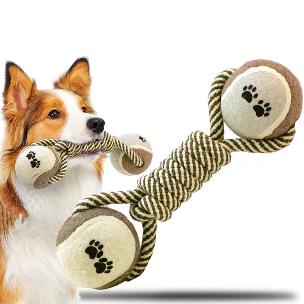 Pet Dog Toys