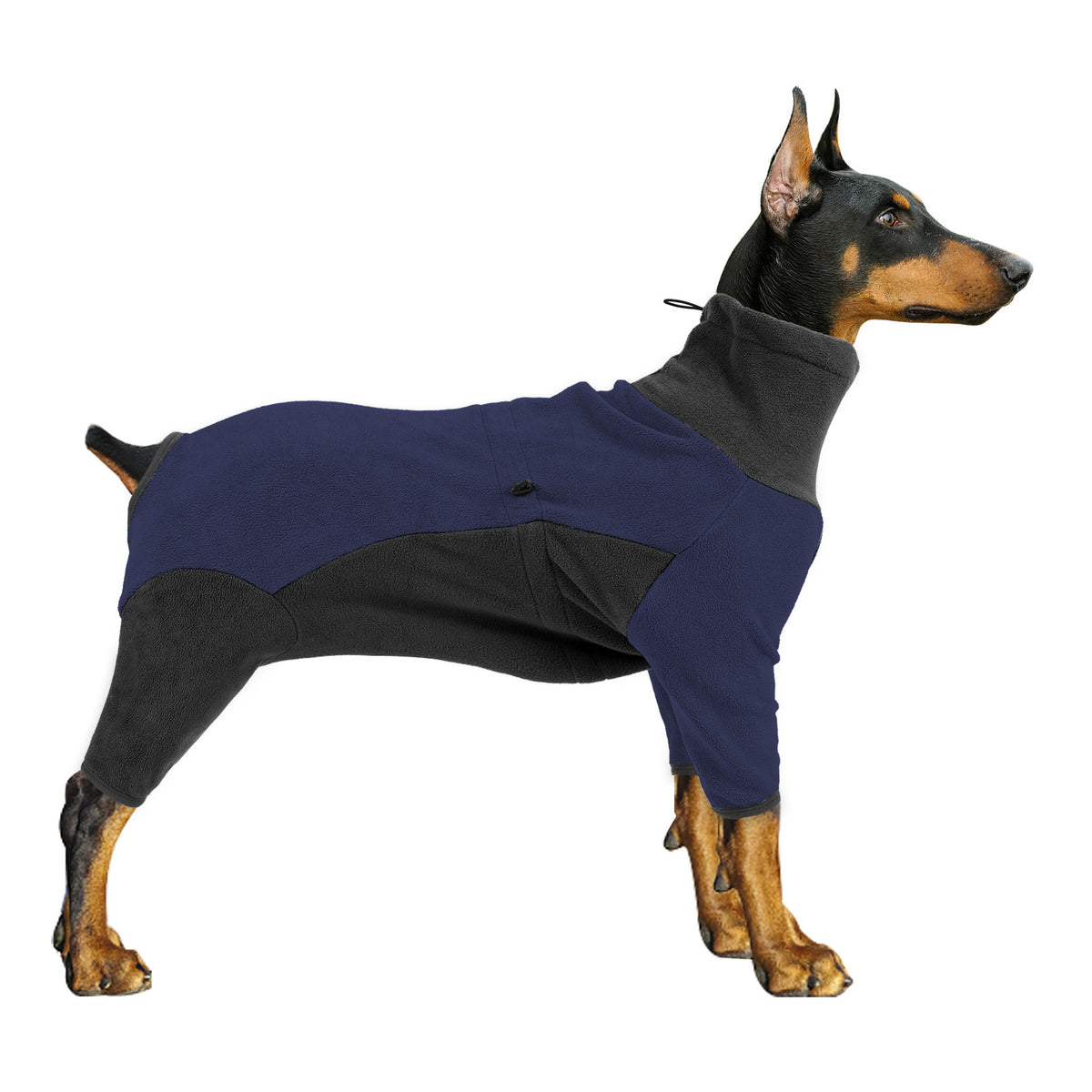 Winter clothes for dogs