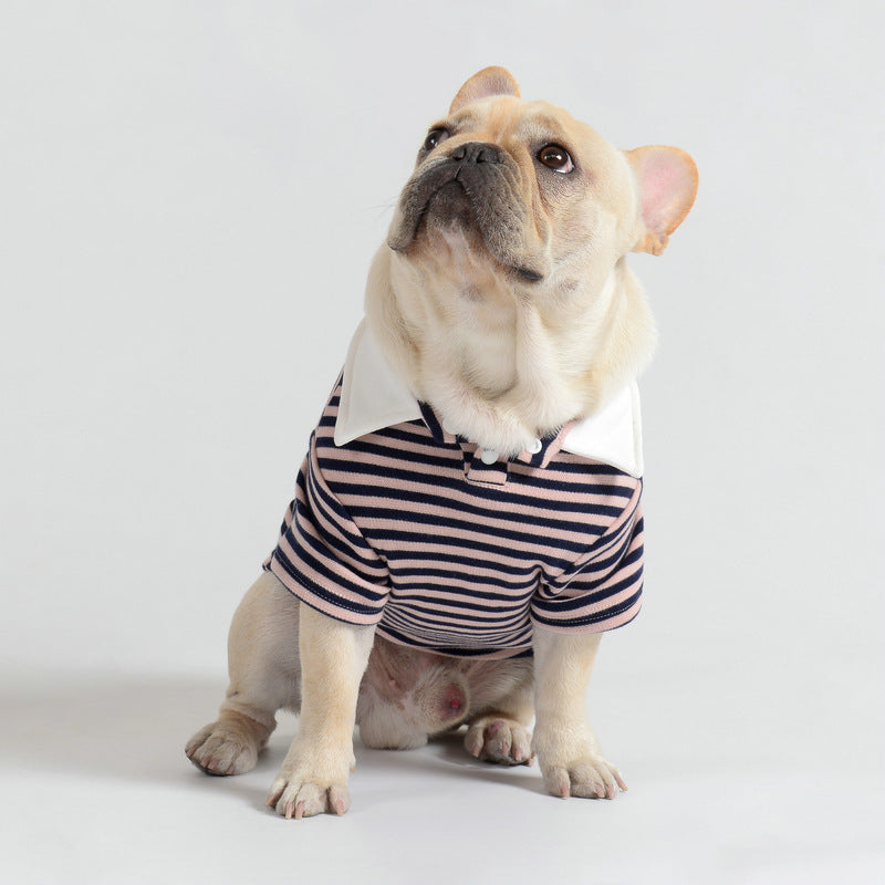 Polo Casual Pet Sweater