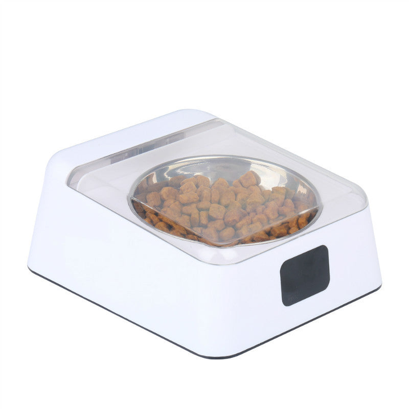 Automatic Smart Feeder