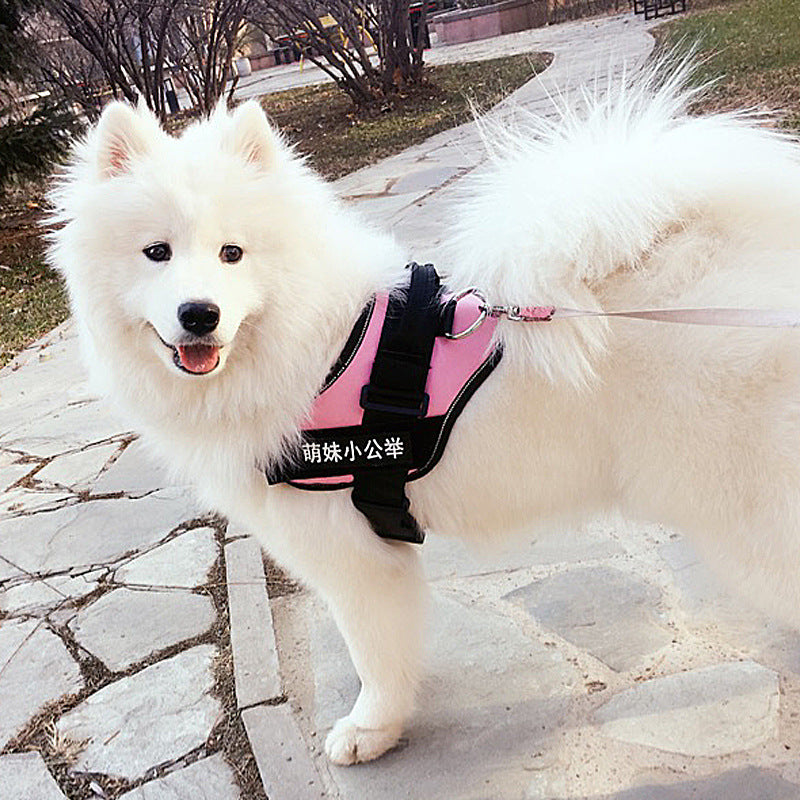 Pet Chest Harness