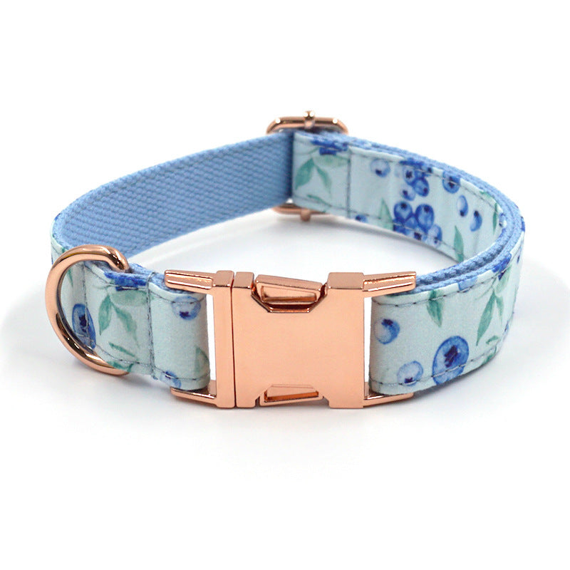 Collar for dogs and cats is beautifully designed