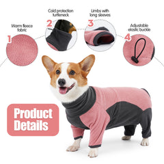 Winter clothes for dogs