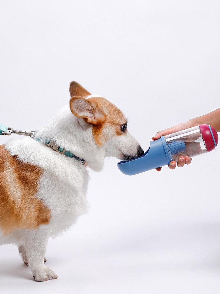 Water Bottle For Pets