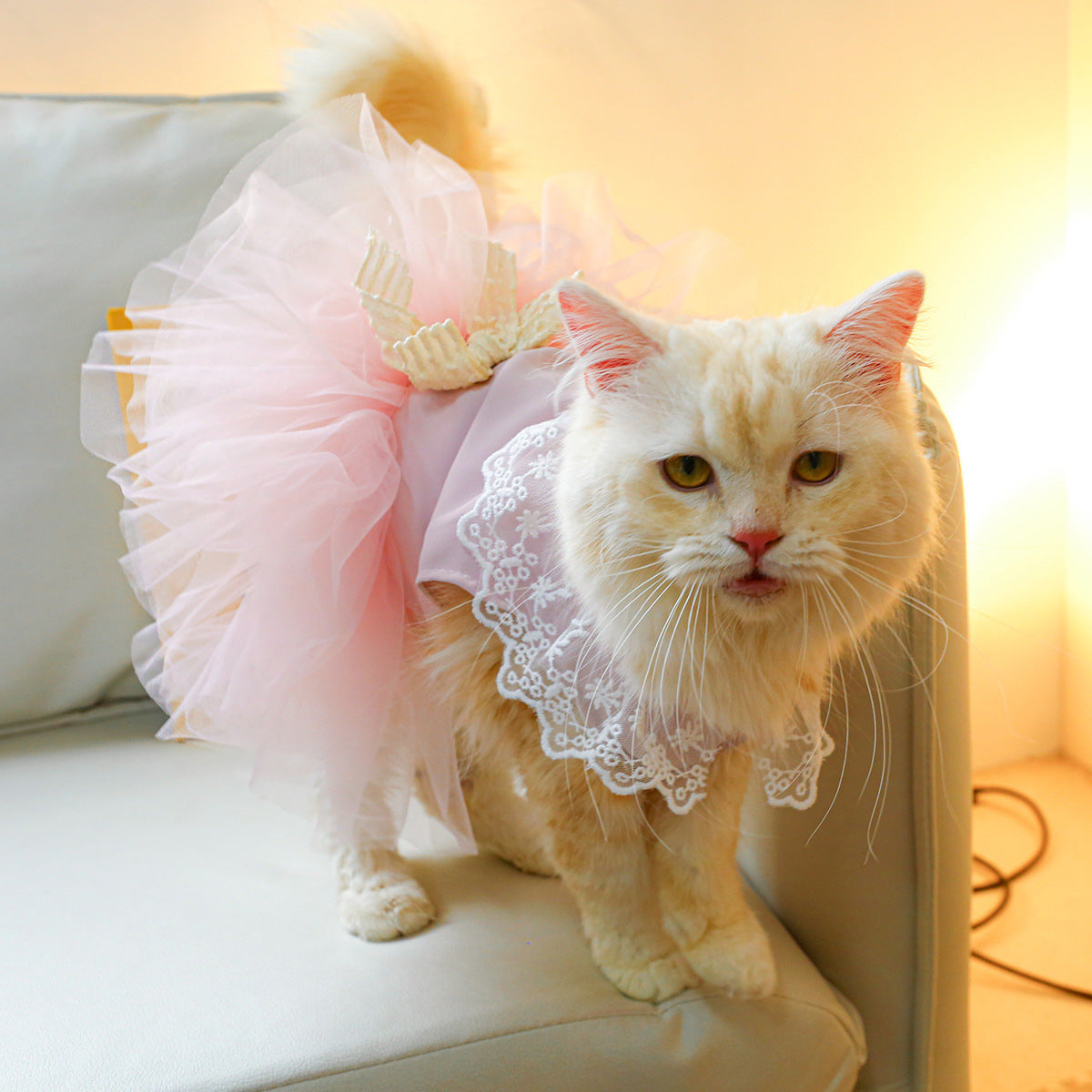 Pet Clothing Cat Clothes