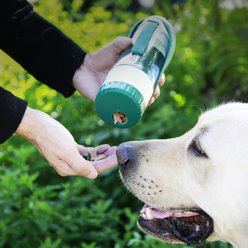 Pet Water Dispenser