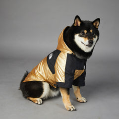 Dog Raincoat