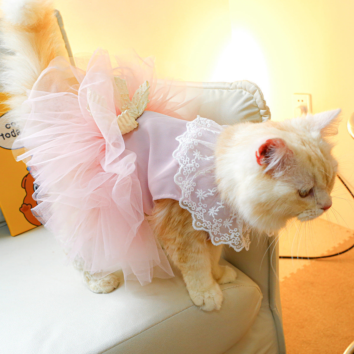 Pet Clothing Cat Clothes