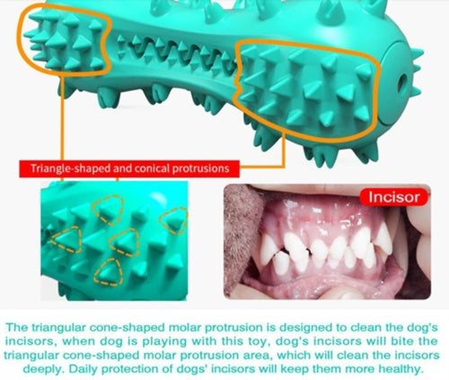 dog toys-Stick Dog Oral Teeth