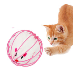 Cat Toys