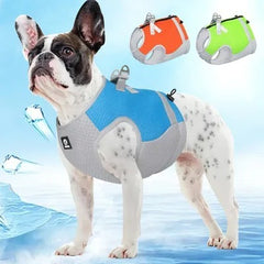 Pet Traction Vest