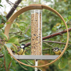 Bird Feeder