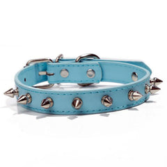 Pet With Multicolor Dog Collar