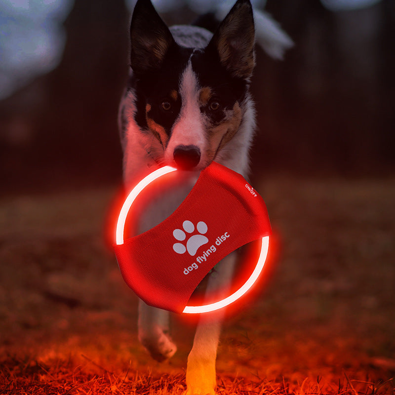 Dog Flying Discs Light Glowing