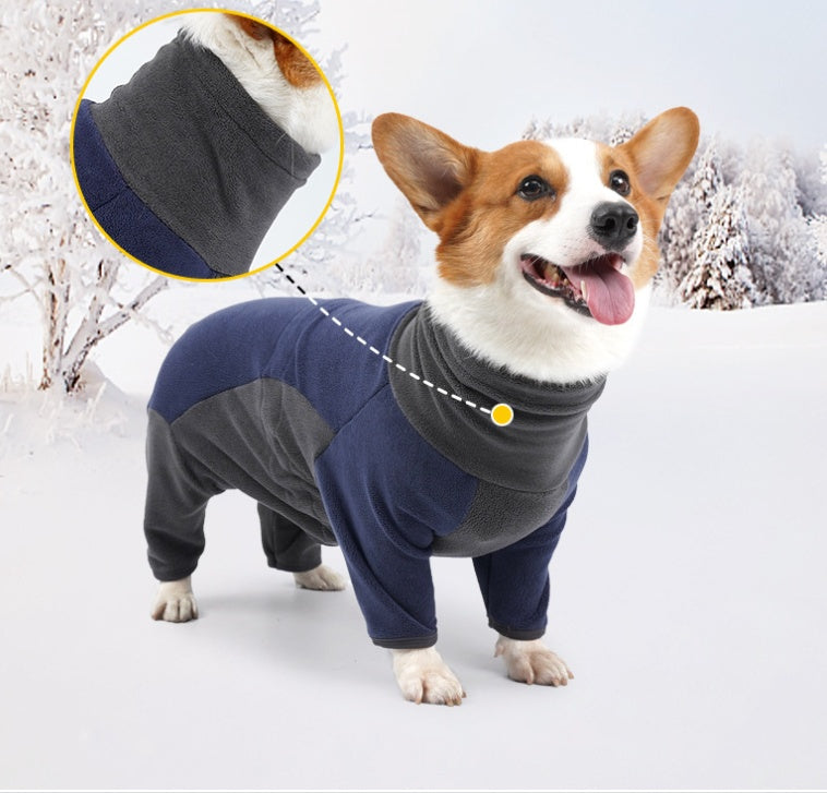 Winter clothes for dogs