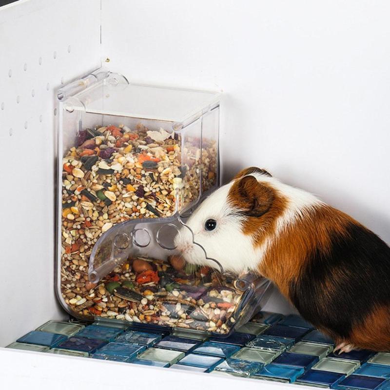 Food dispenser for hamsters