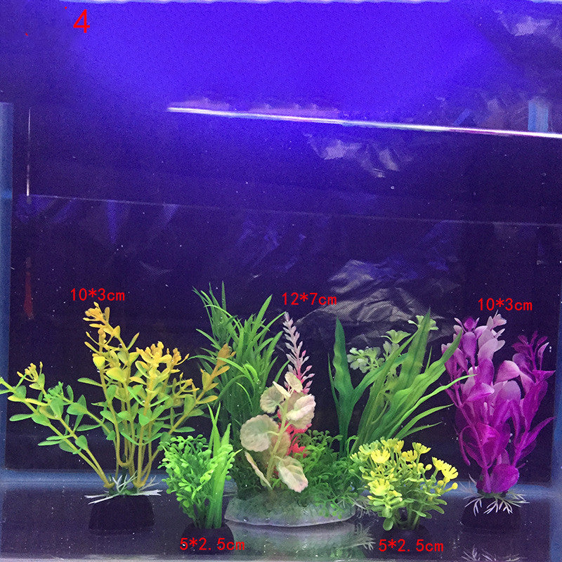 Plants for the aquarium