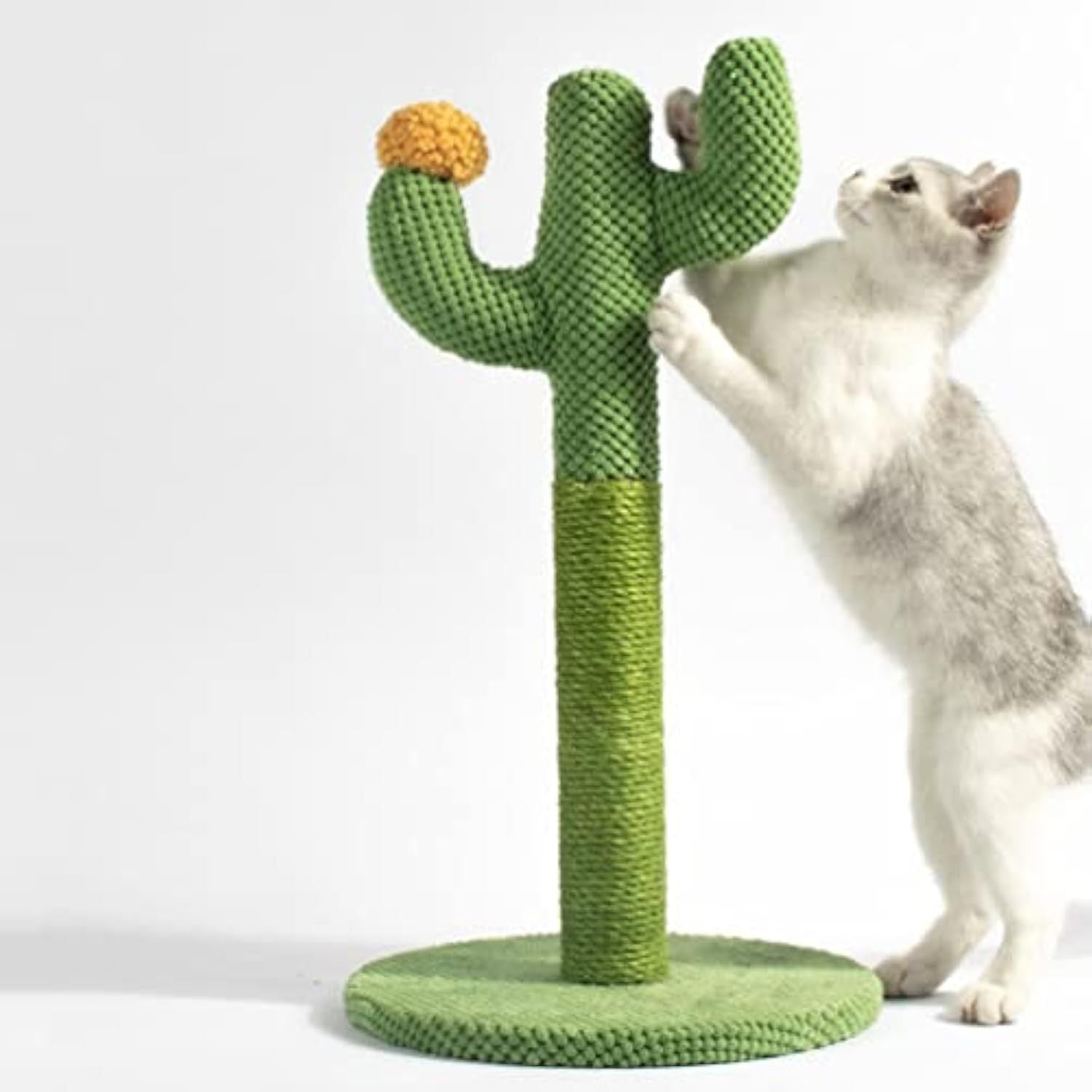 Cat Toy Scratching Board