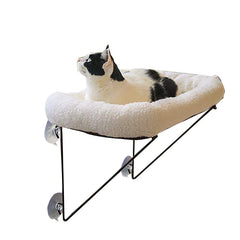 Cat Hammock