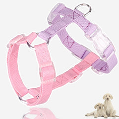 Pet Chest Strap