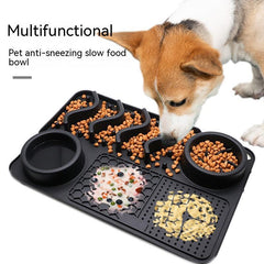 Educational food plate for pets