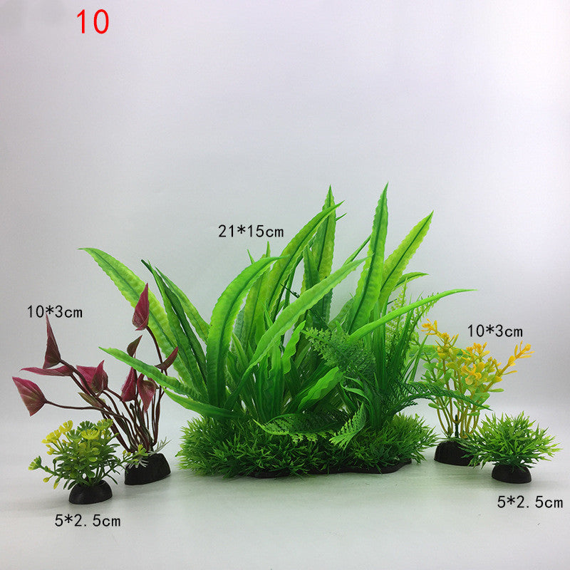 Plants for the aquarium