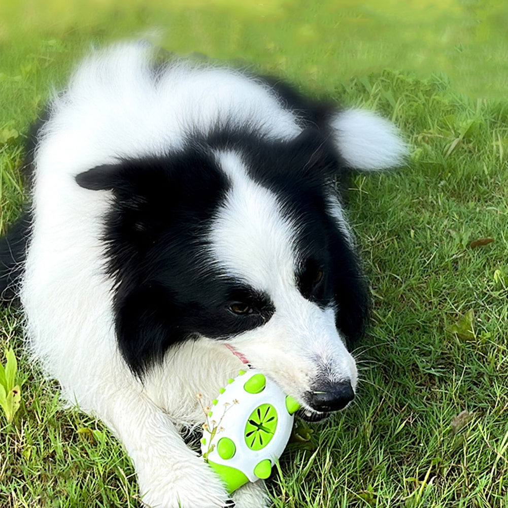 Dog Toy Interactive TPR Leaking Food-Free and fast shipping